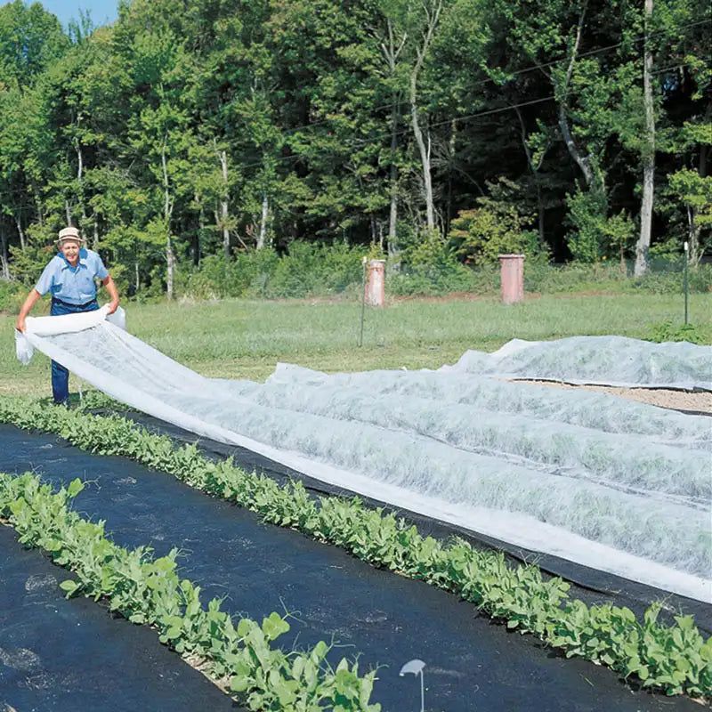 Use Row Covers