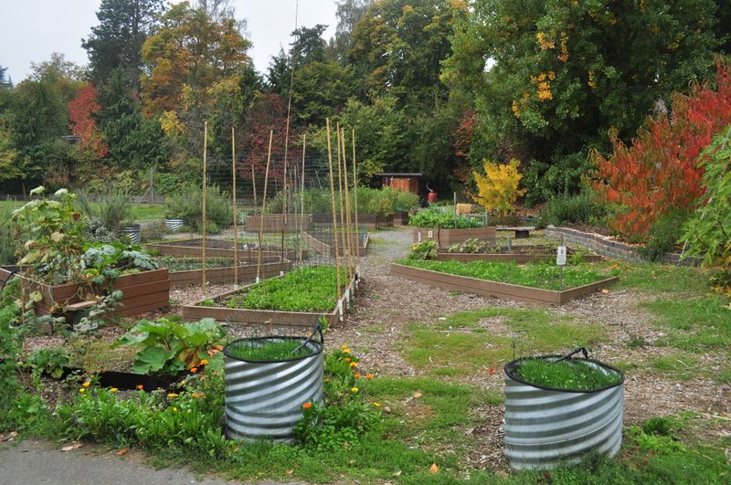 Unfriendly Garden Layout