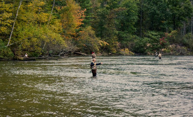Manistee River