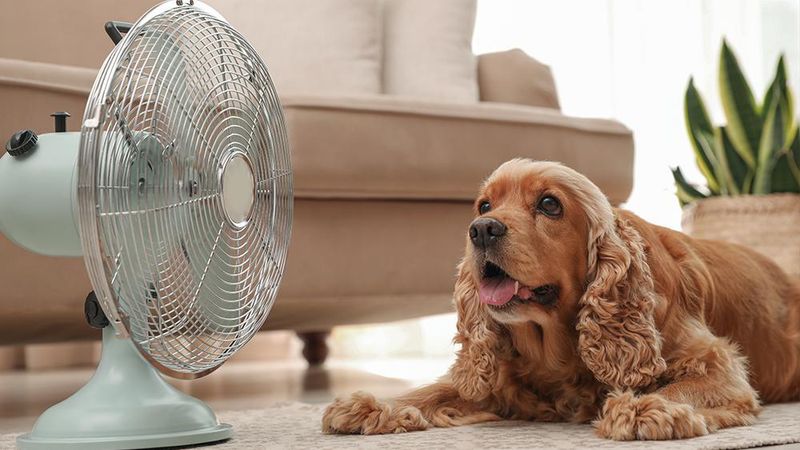 Use Fans and Air Conditioning