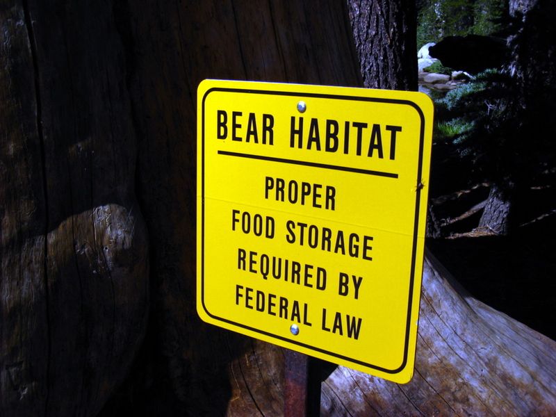 Respect Bear Signs and Warnings