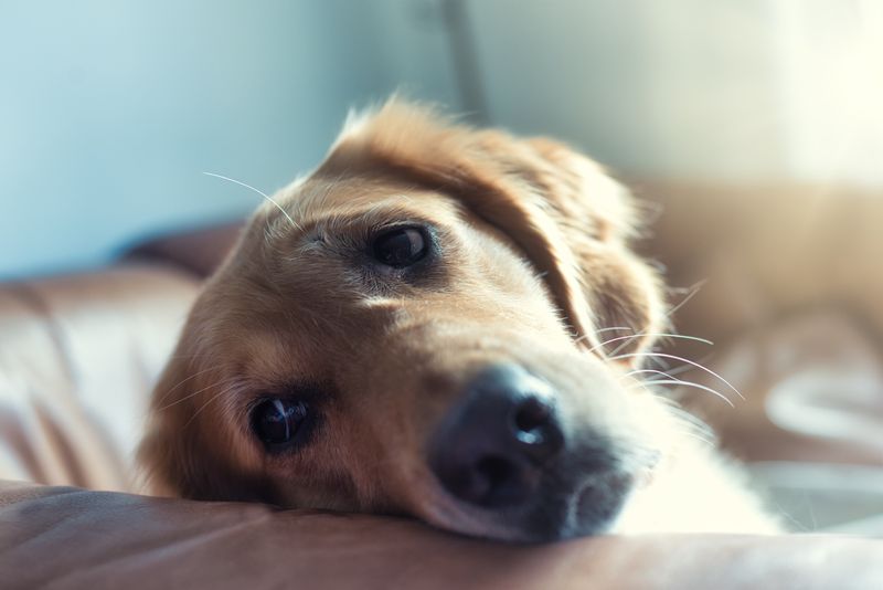 Avoiding Disregarding Emotional Well-being