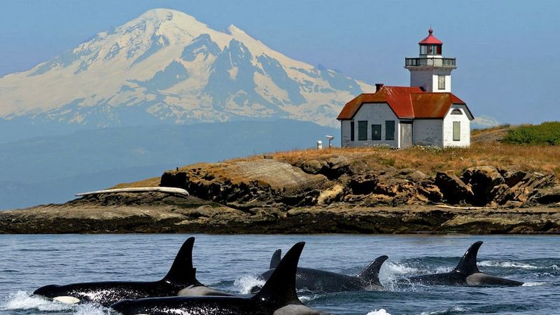 San Juan Islands, USA