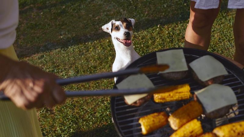 BBQ Hazards