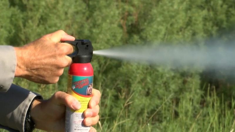 Using Bear Spray