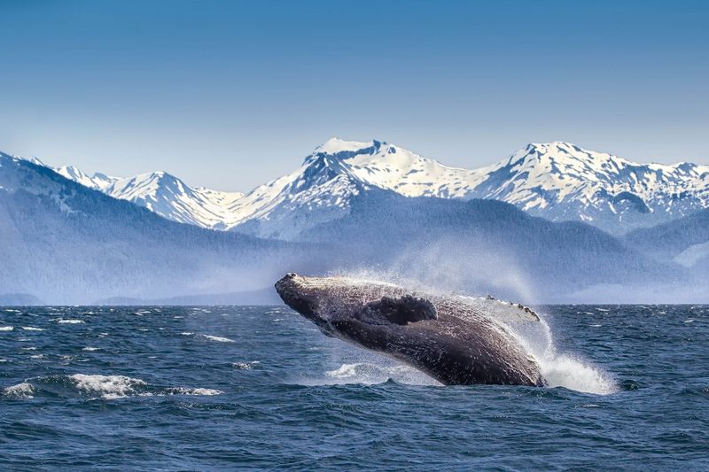Glacier Bay, USA