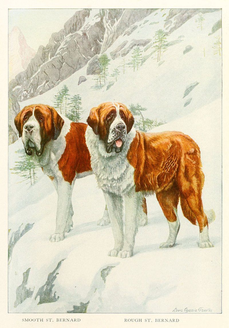 Newfoundland