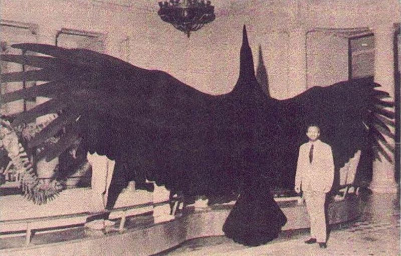 Thunderbird