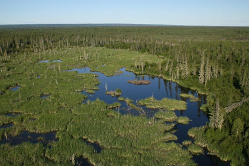 The Enormous Canadian Beaver Dam