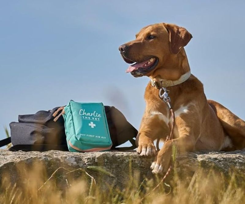 First Aid Kit for Dogs