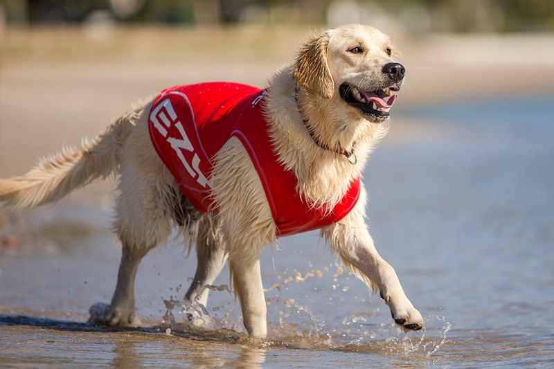 Beach Hazards