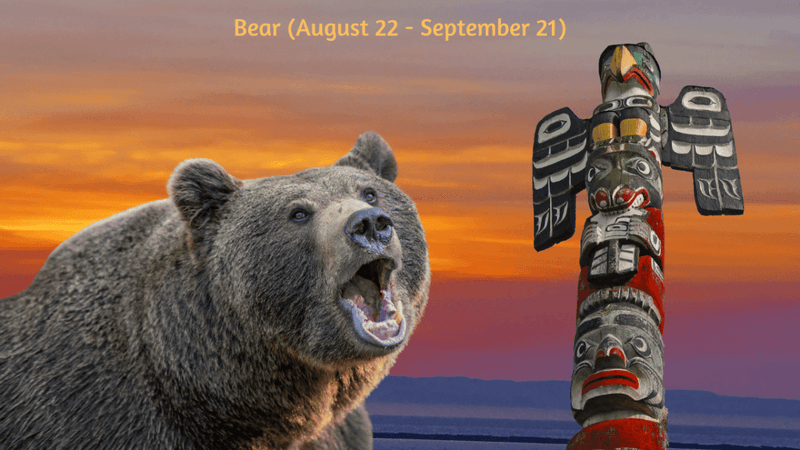 Bear