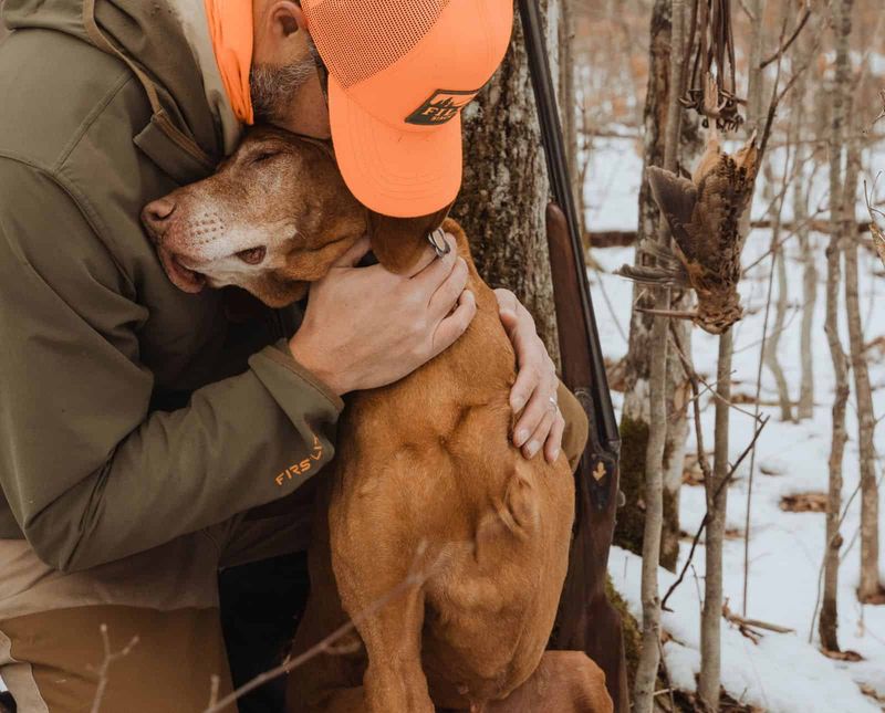 Vizsla