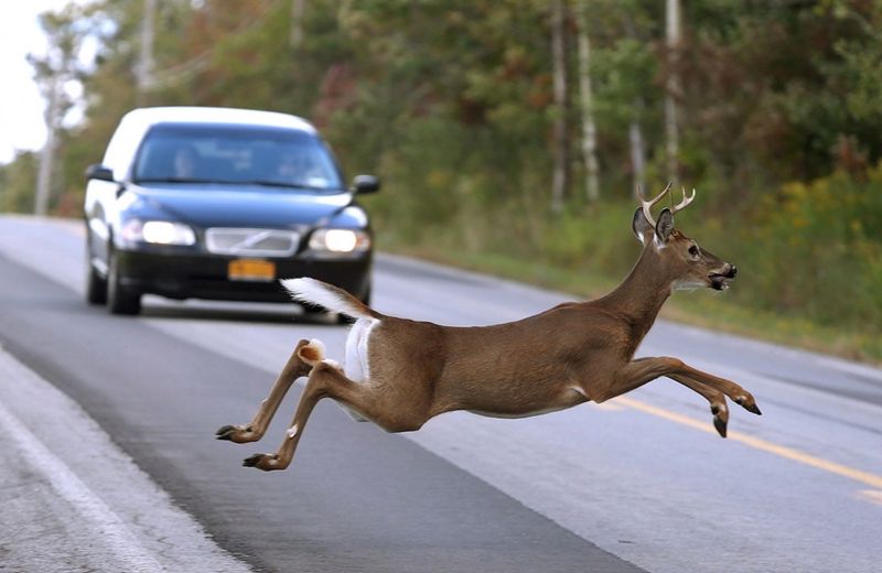 Pennsylvania