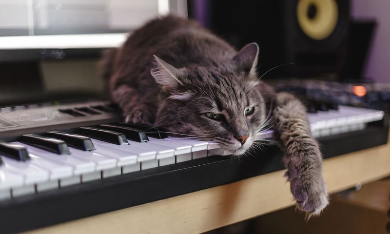 Classical Music