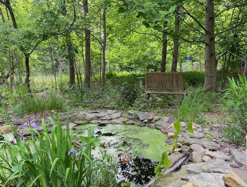 Unkempt Garden Edges