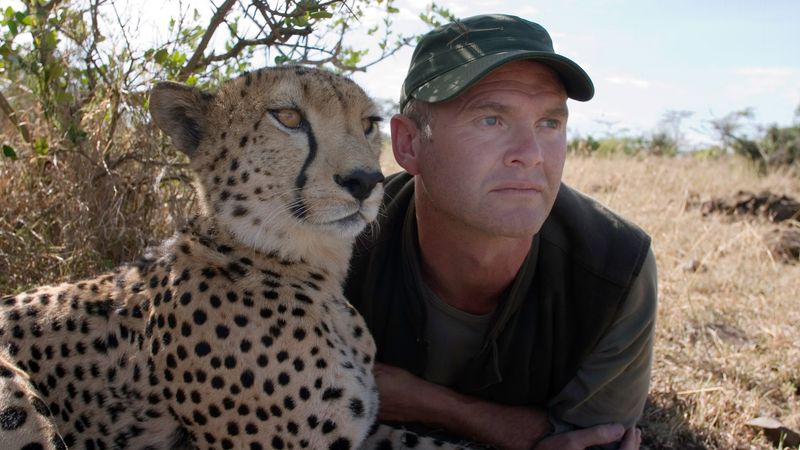 Cheetah