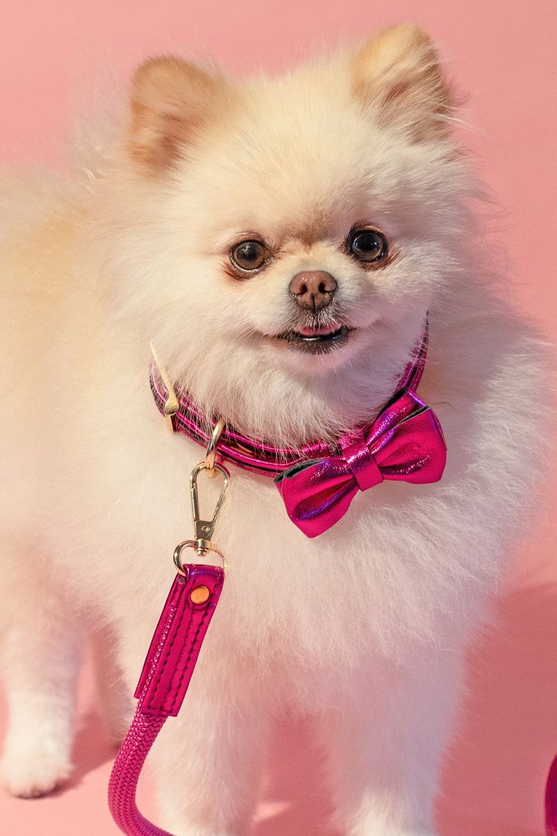 Pink Collar