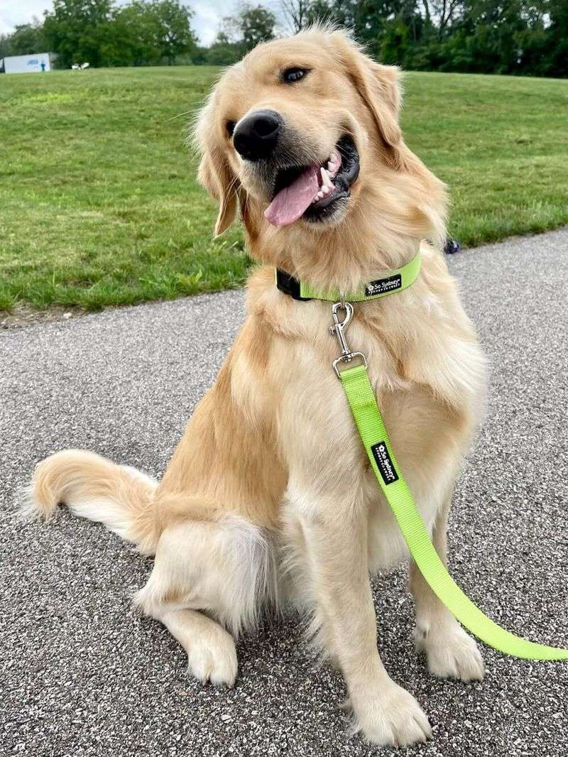 Green Collar