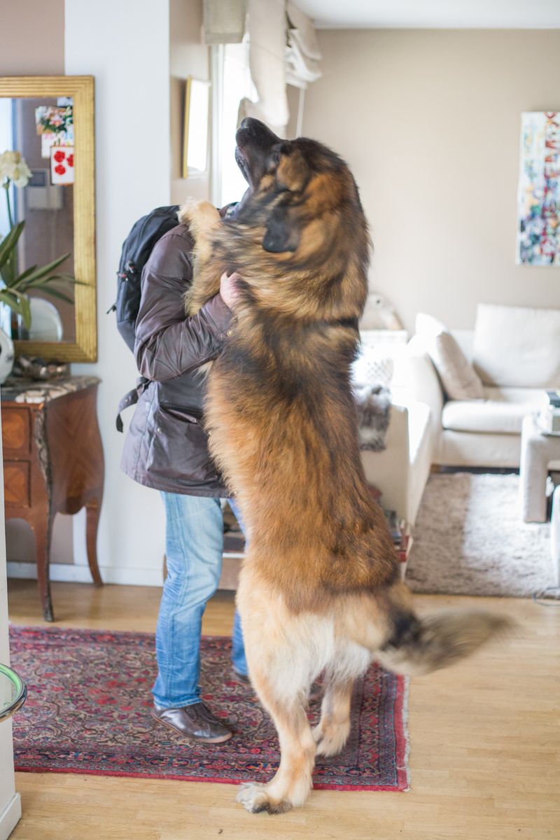 Your Return Home Ritual