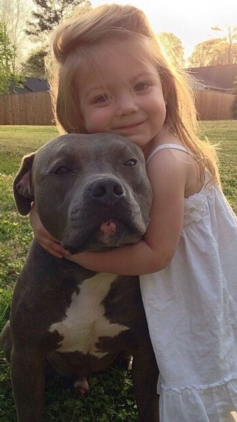 Pit Bull