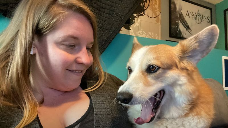 Corgi