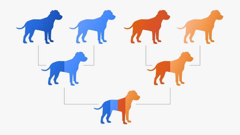 Genetic Homogeneity
