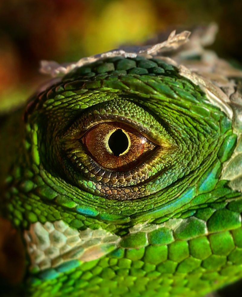 Bright and Clear Eyes