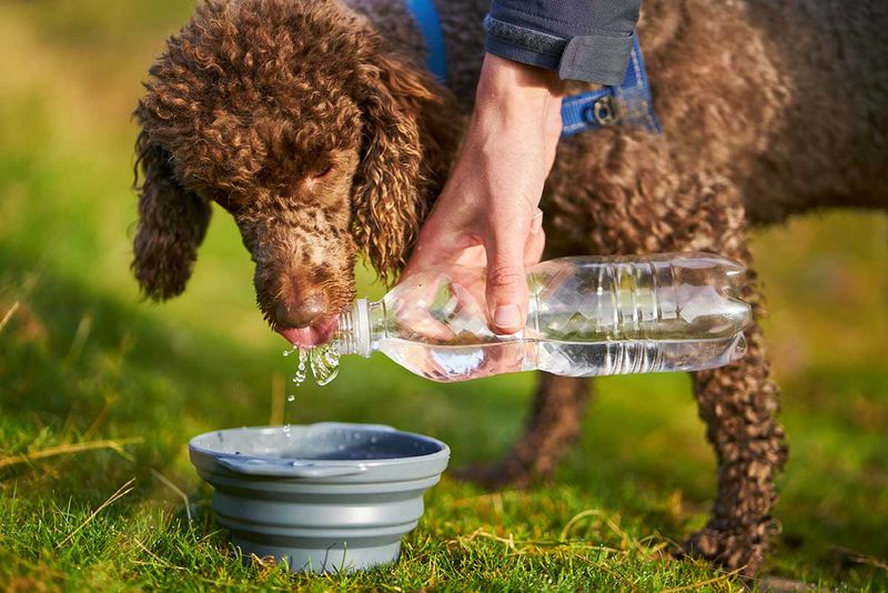 Dehydration Dangers