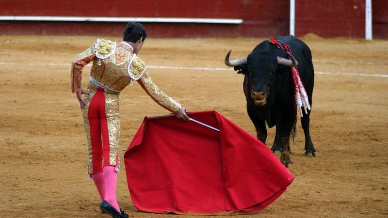 Bulls Hate the Color Red