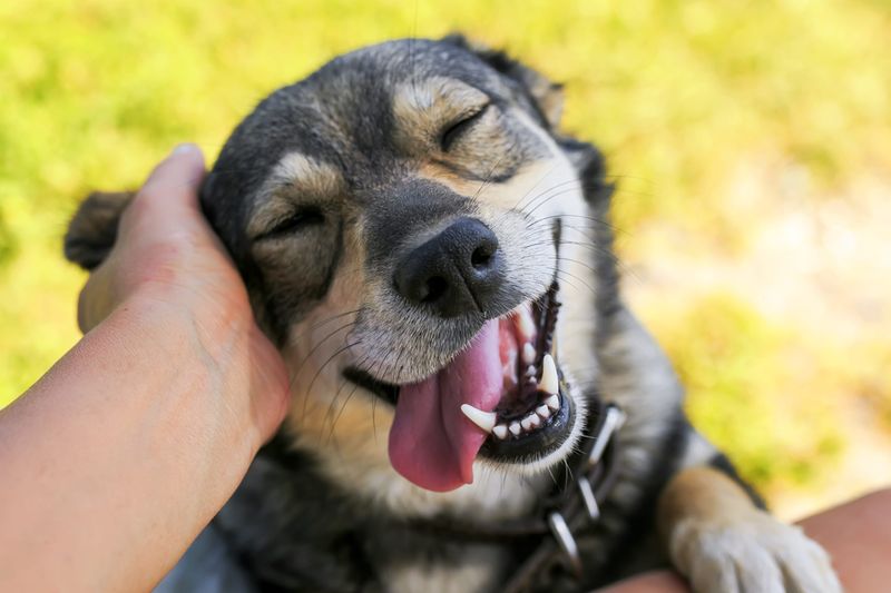 Affectionate Behavior