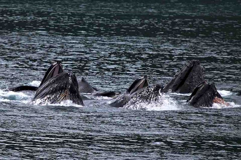 Group Coordination