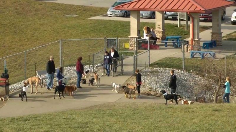 Bark Park