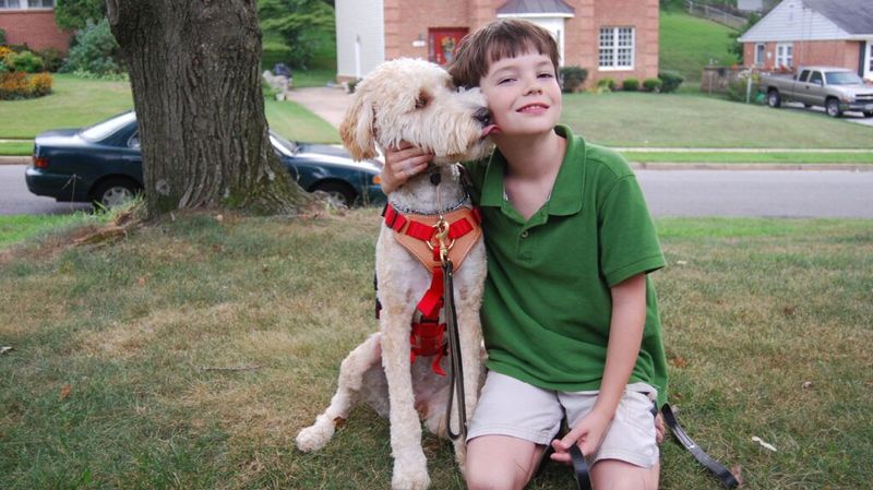 Dogs Detecting Seizures