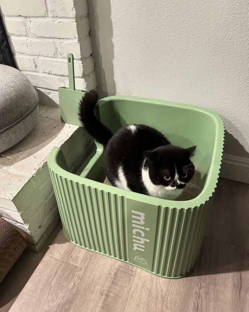 Comfortable Litter Box