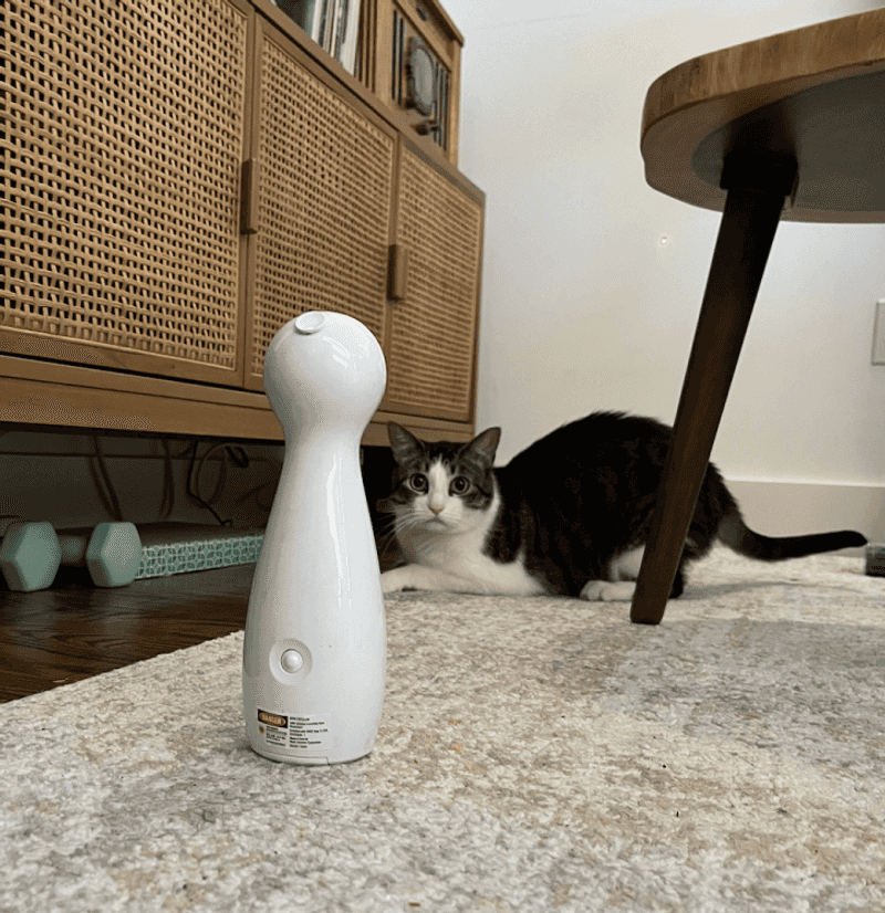 Automatic Laser Toy
