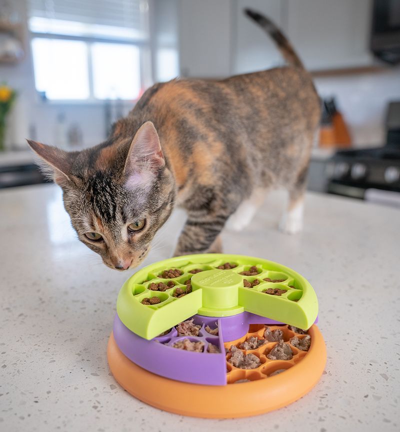 Interactive Puzzle Feeder