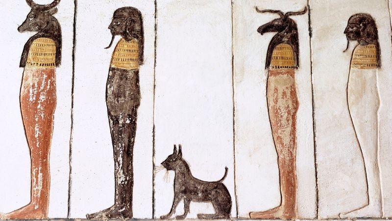 Cats and Daily Egyptian Life