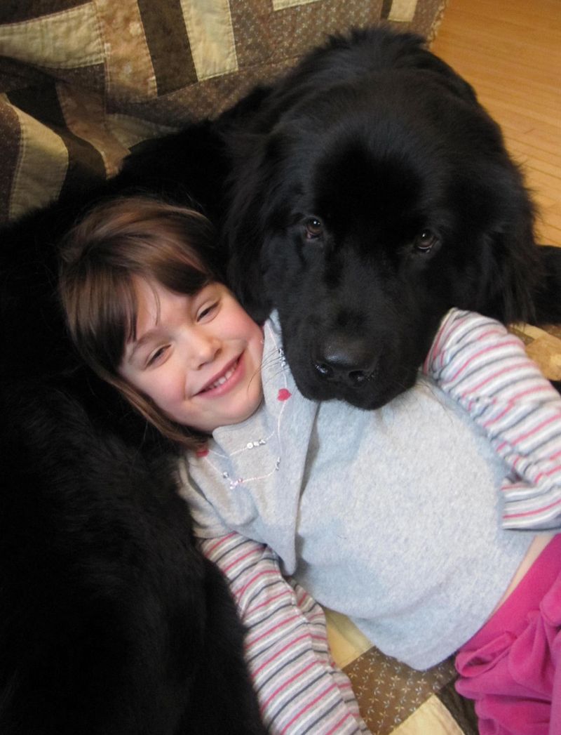 Newfoundland