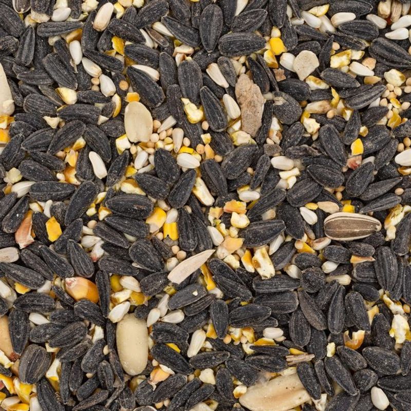 Bird Seed