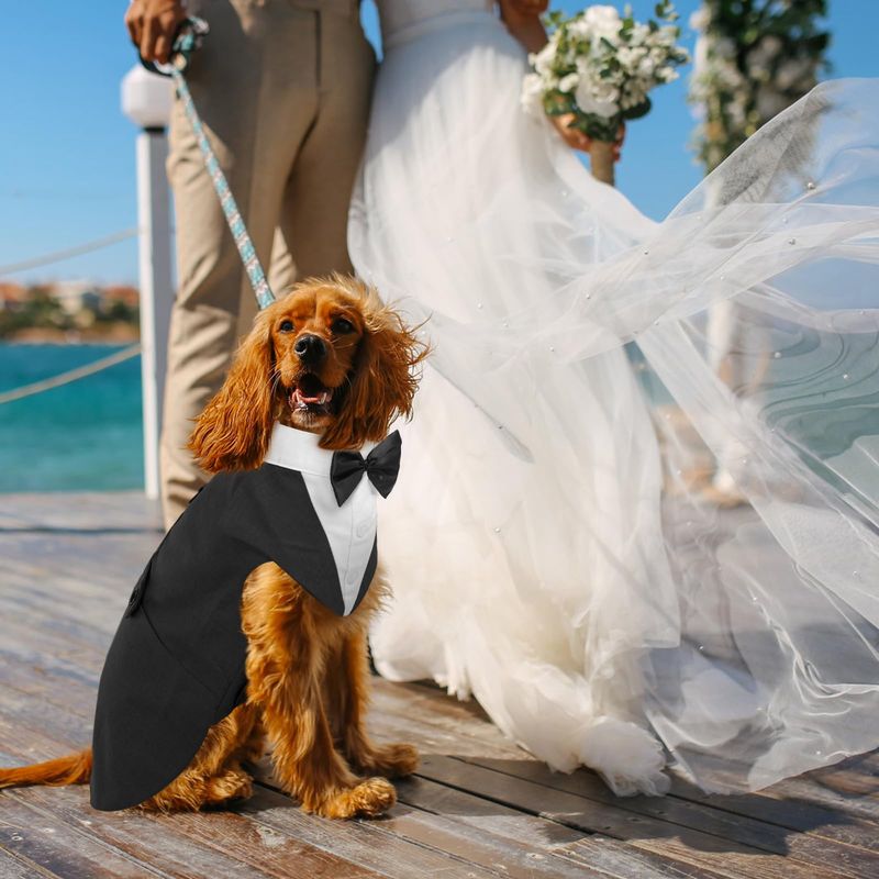 Pet Wedding Attire