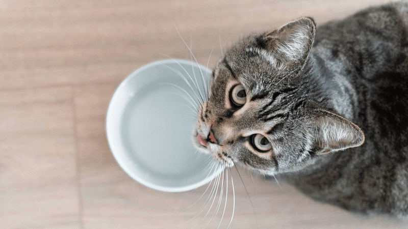 Decreased Thirst