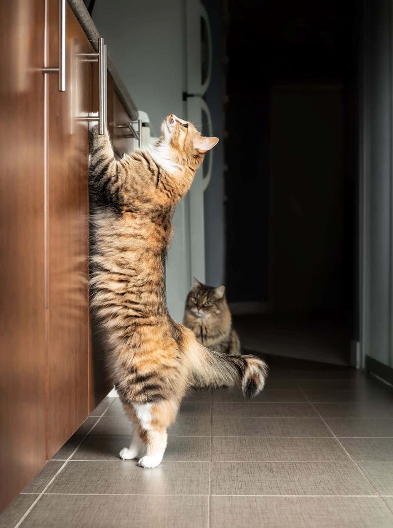 Reluctance to Jump