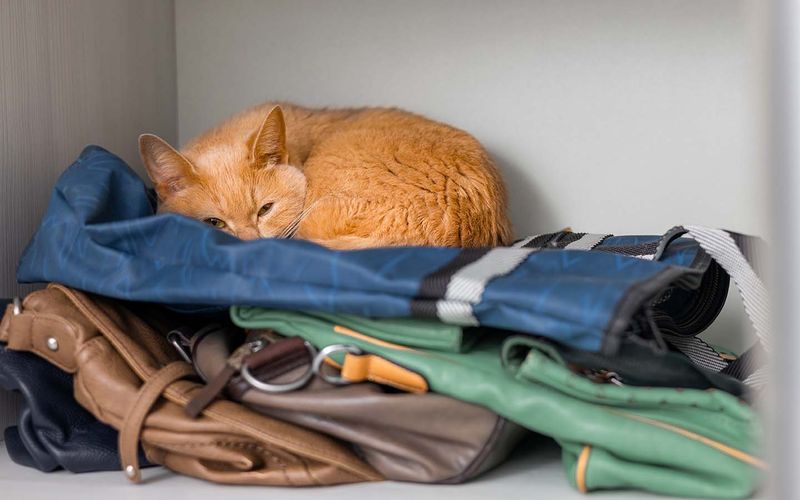Lethargy and Withdrawal