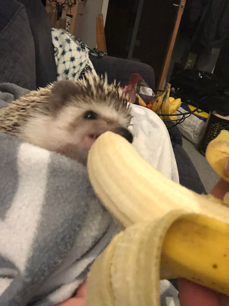 Bananas