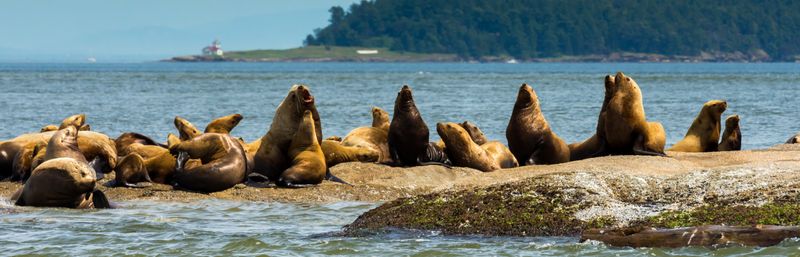 San Juan Islands, Washington