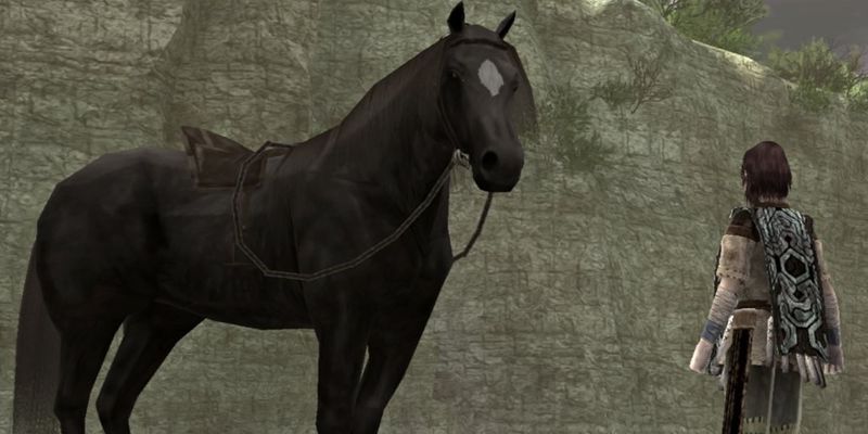 Agro from Shadow of the Colossus