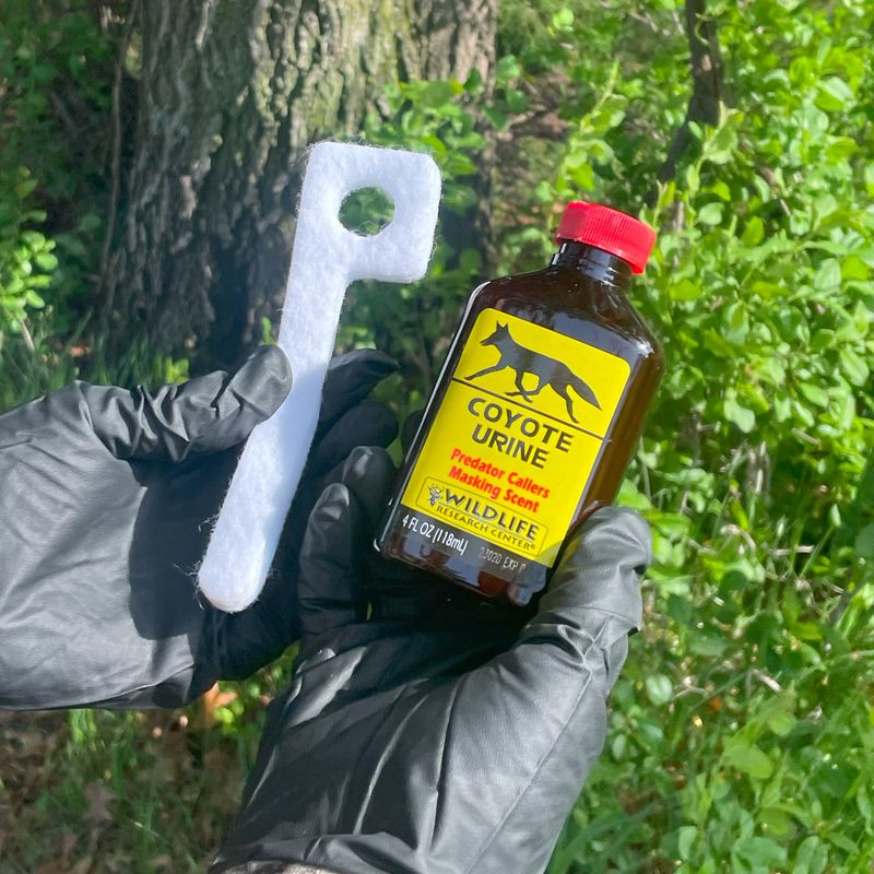 Predator Urine