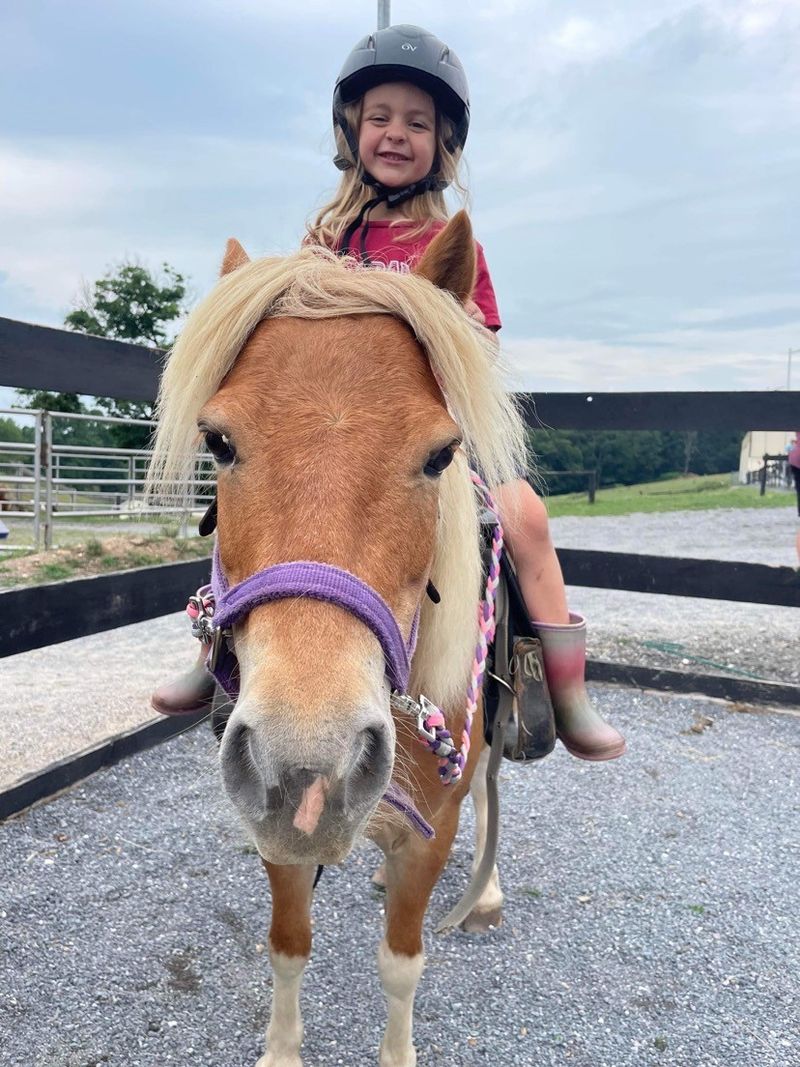 Charlie the Pony