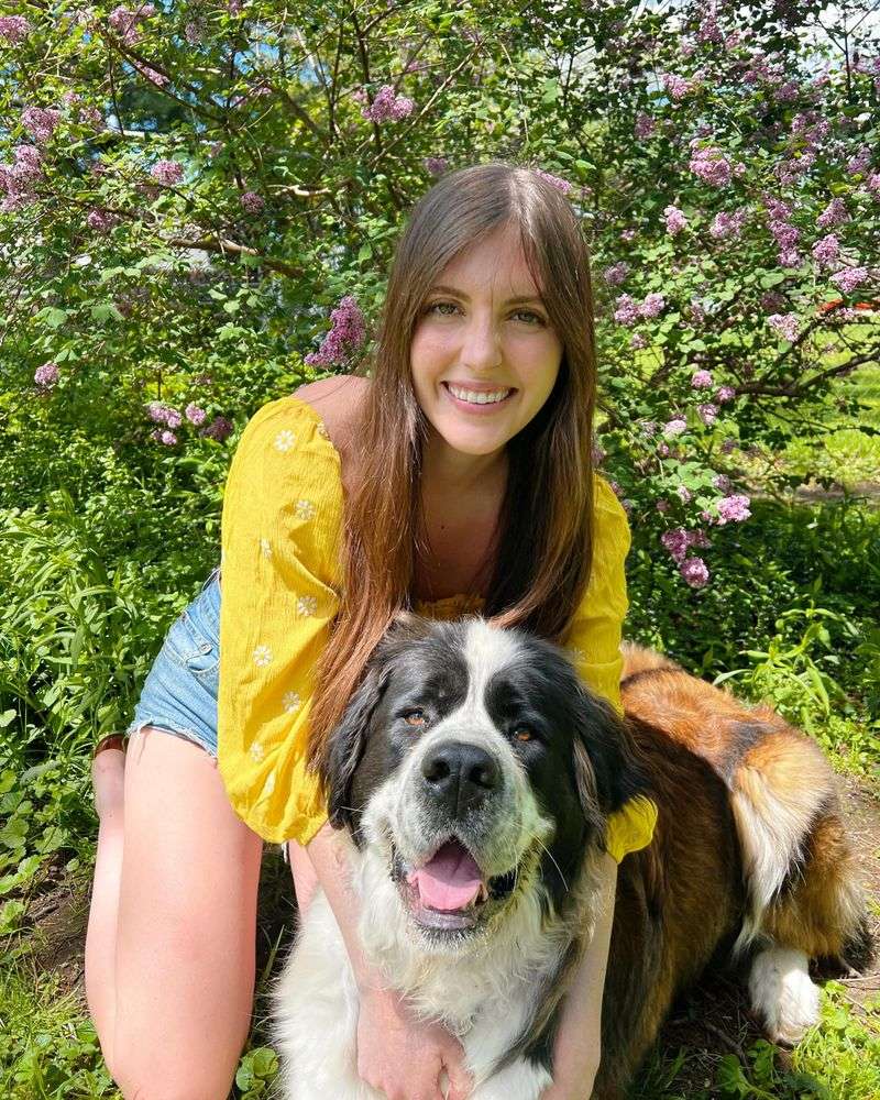 Saint Bernard